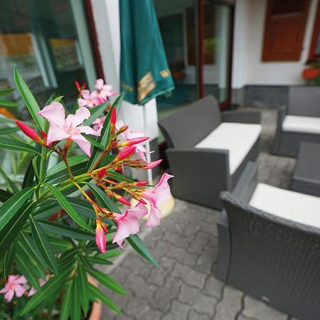 Landhotel Gasthof Zwota Klingenthal Kültér fotó