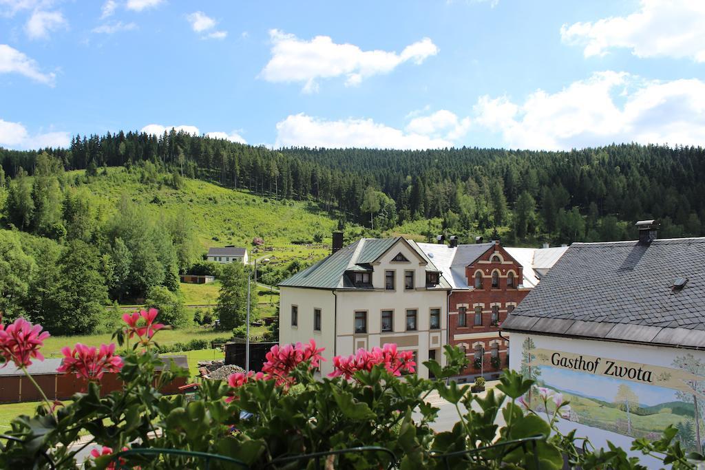 Landhotel Gasthof Zwota Klingenthal Kültér fotó
