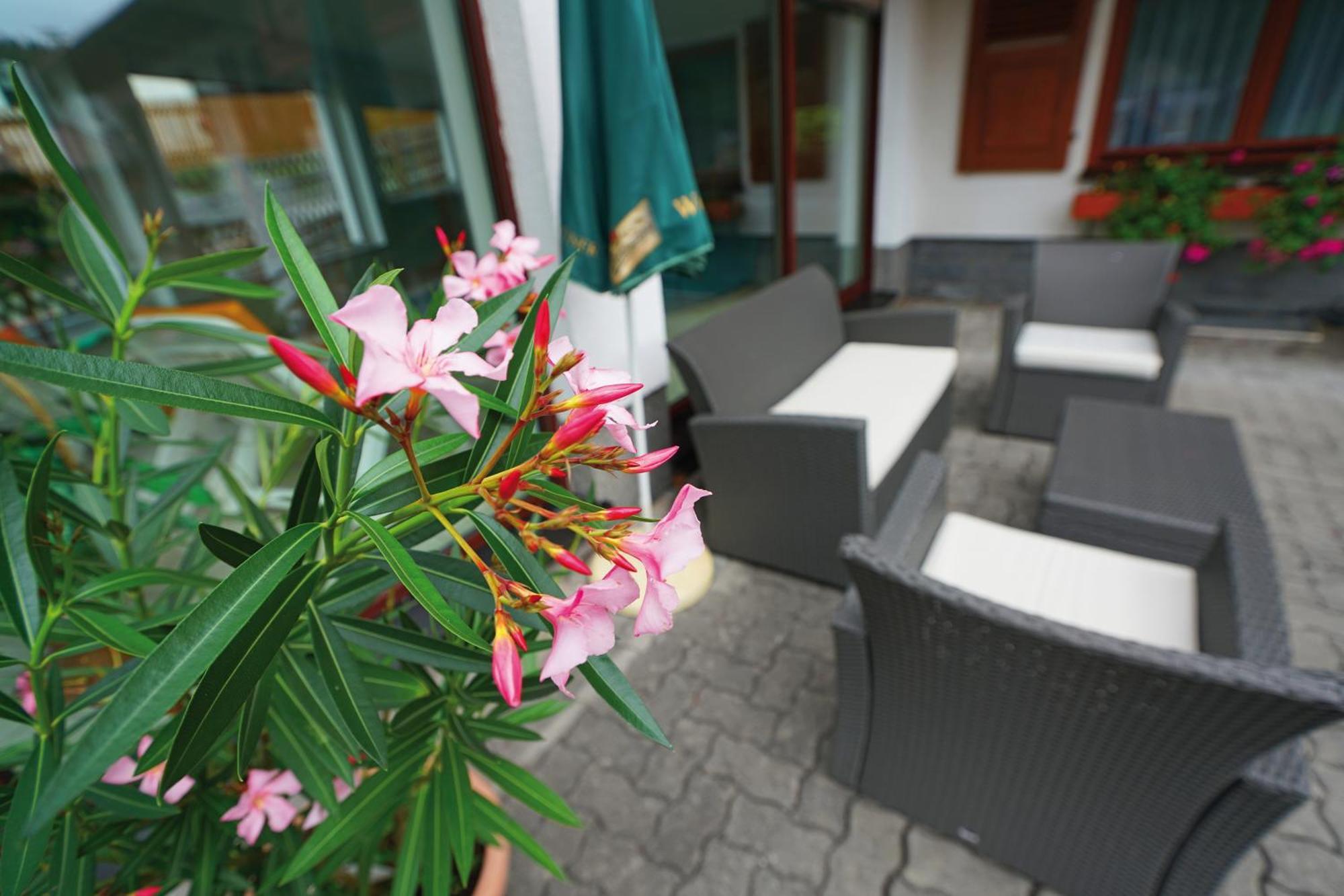 Landhotel Gasthof Zwota Klingenthal Kültér fotó