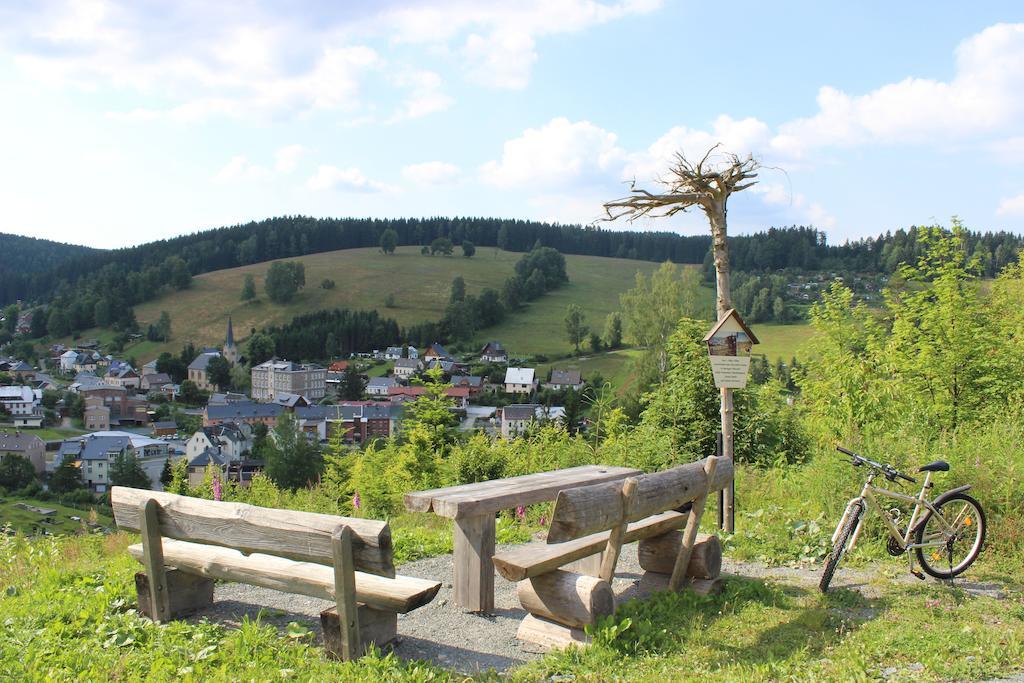 Landhotel Gasthof Zwota Klingenthal Kültér fotó