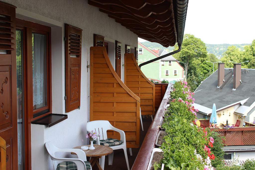 Landhotel Gasthof Zwota Klingenthal Kültér fotó