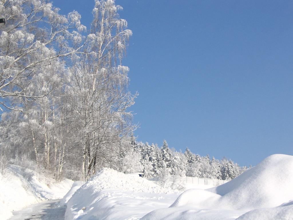 Landhotel Gasthof Zwota Klingenthal Kültér fotó